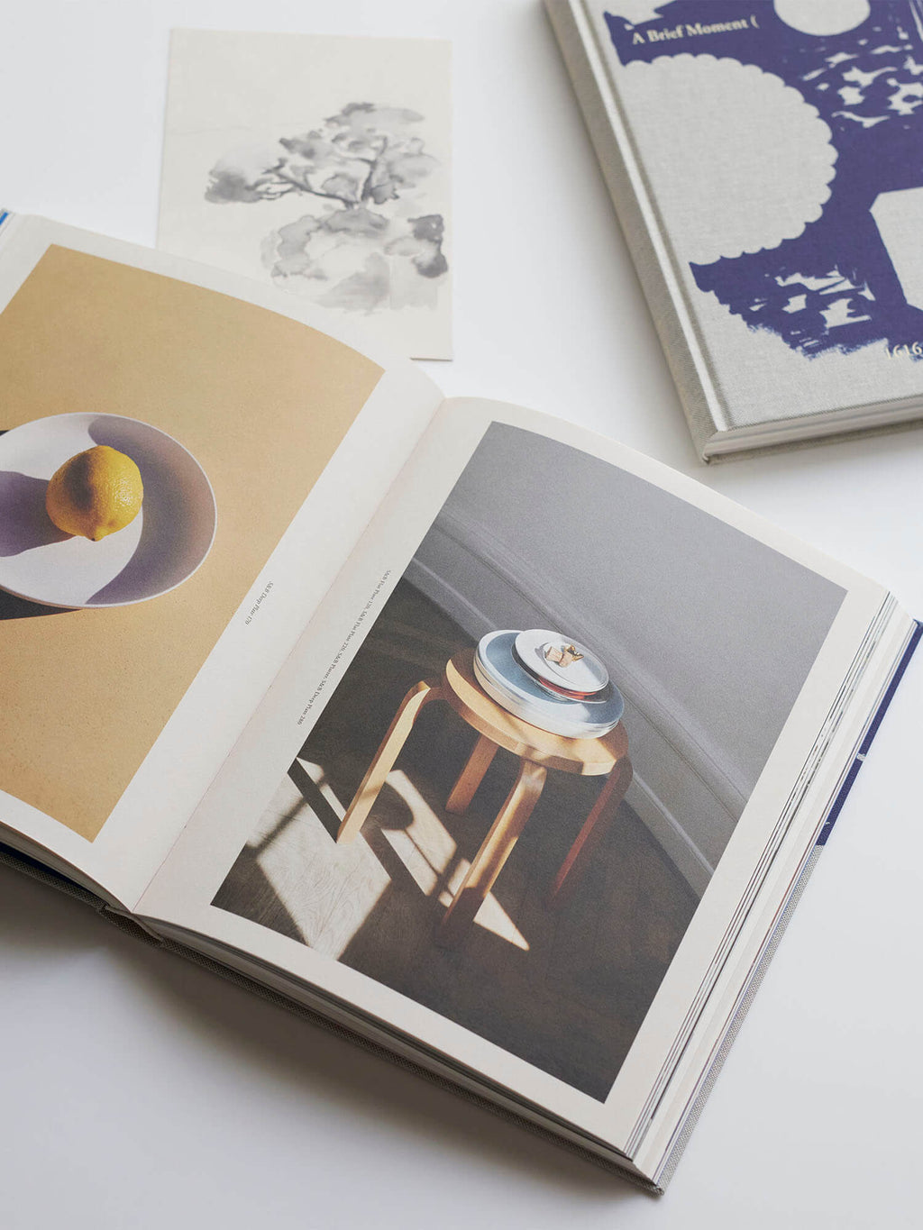 1616 Arita | A Brief Moment ( ) A Long Tradition