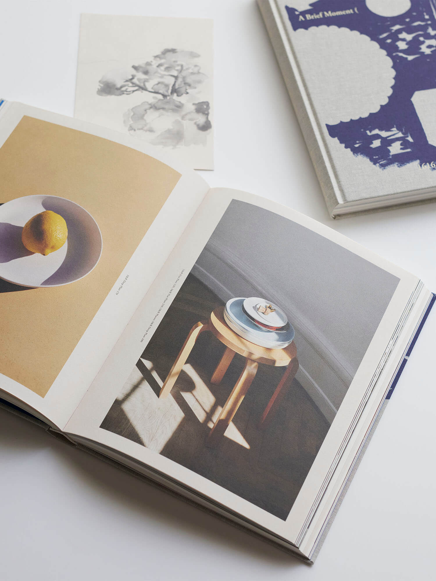 1616 Arita | A Brief Moment ( ) A Long Tradition