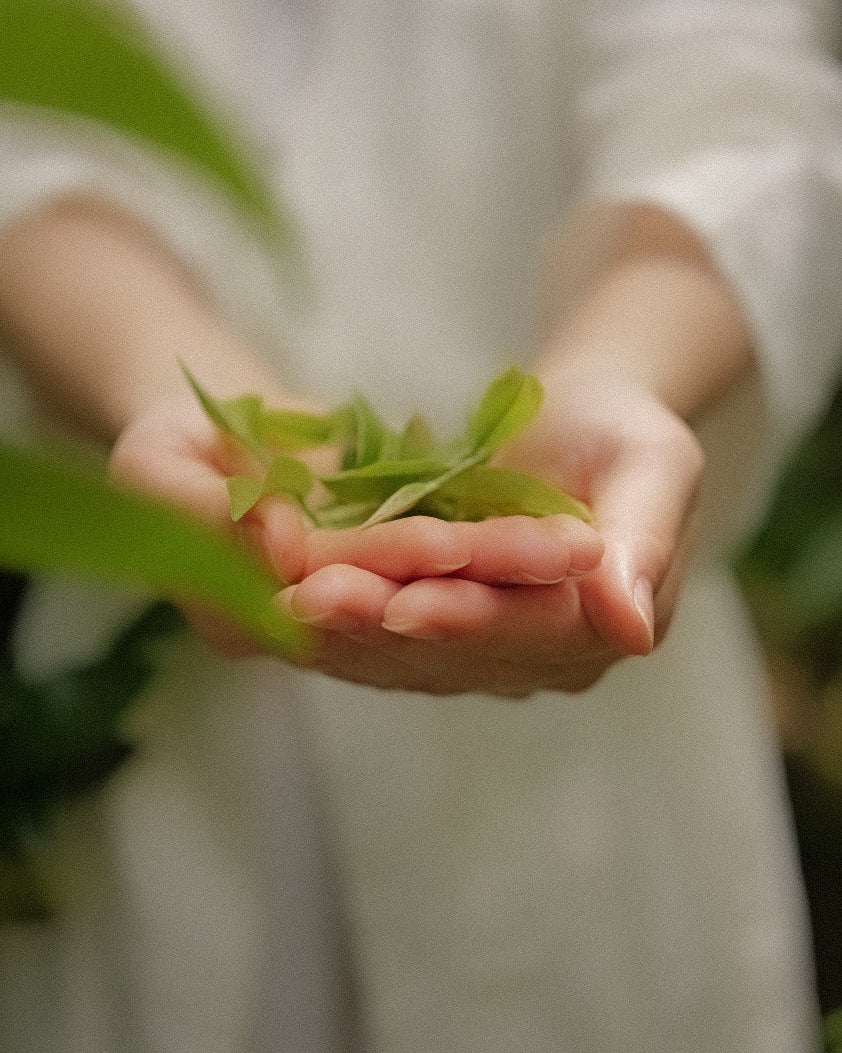 earth as a mat - tea experience
