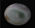 Solinii | Wood Fired Crackle Glaze Plate