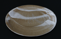 Solinii | Handbrushed Oval Plate